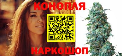 спиды Заводоуковск