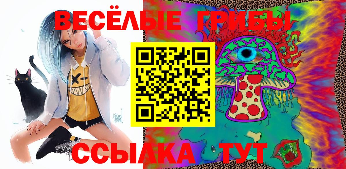 закладки  Галлюциногенные грибы Cubensis  Вход с VPN  Комсомольск-на-Амуре 