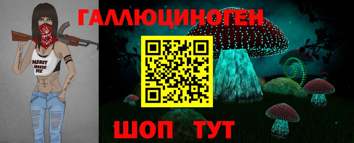 Галлюциногенные грибы Psilocybine cubensis Комсомольск-на-Амуре